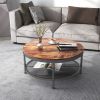 2-Tier Single Panel Round Coffee Table for Living Room and Bedroom, with 3D Texture Metal Frame and Mesh
