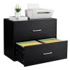 2 Drawer Wood Lateral File Cabinet , Storage Filing Cabinet for Home Office, Black