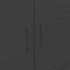 Storage Cabinet Black 31.5"x13.8"x40" Steel