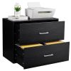2 Drawer Wood Lateral File Cabinet , Storage Filing Cabinet for Home Office, Black