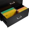 2 Drawer Wood Lateral File Cabinet , Storage Filing Cabinet for Home Office, Black