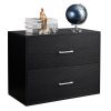 2 Drawer Wood Lateral File Cabinet , Storage Filing Cabinet for Home Office, Black